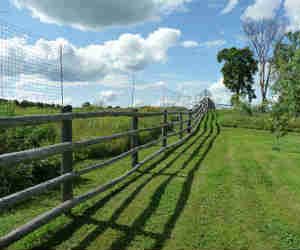 wooden fencing with ultra deer fence 300 plus behind it