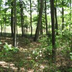 Deer Free 330 Kit