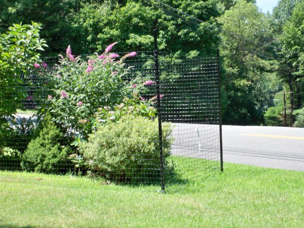 ultra deer fence 300 plus surrounding bushes