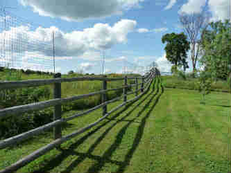 wooden fencing with ultra deer fence 300 plus behind it