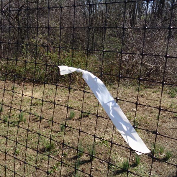 white streamer on fencing