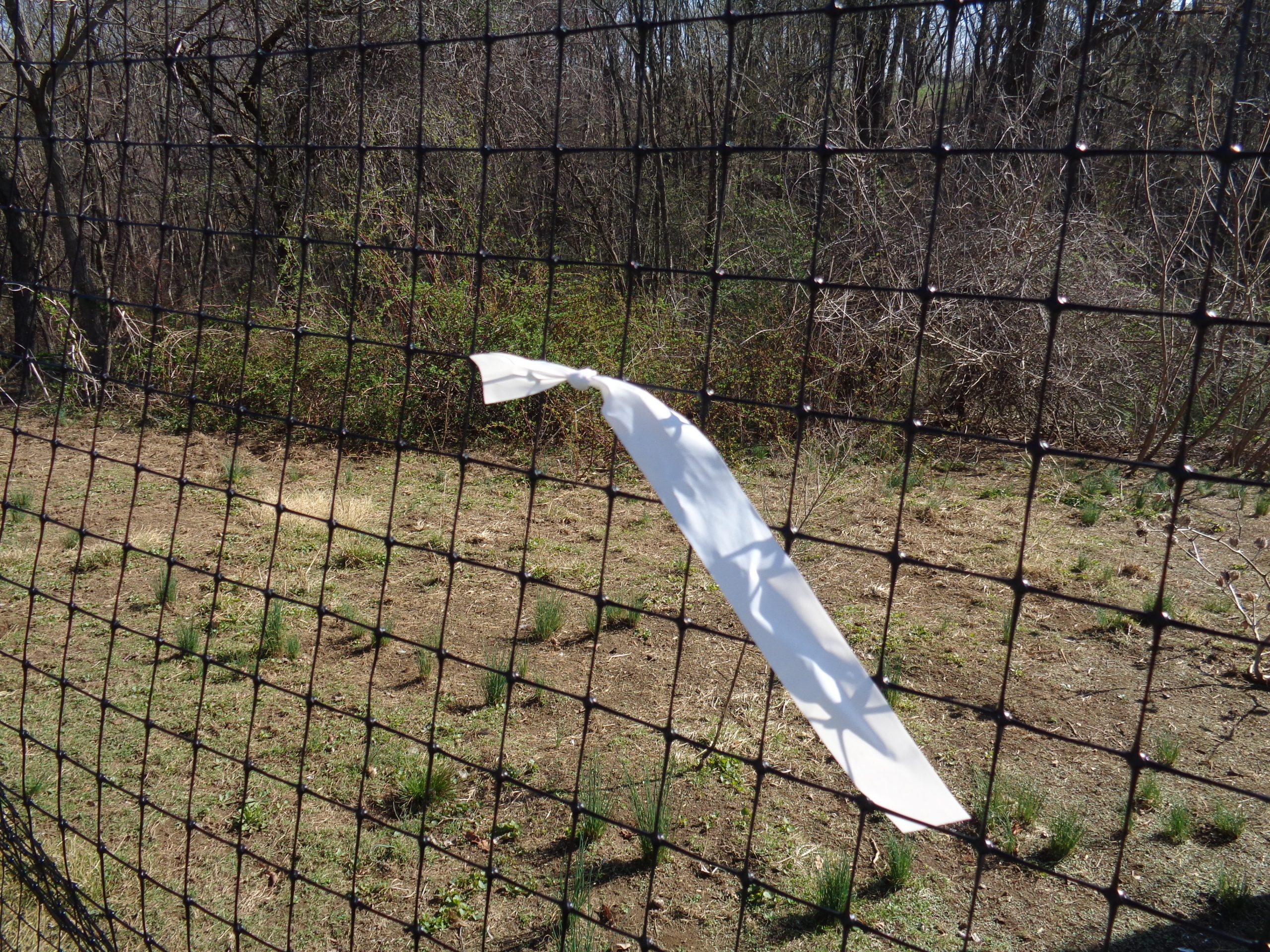 White Streamers - Deerfence USA